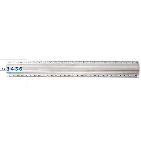 12" Clear 2X Magnifier Ruler