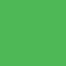 neon green - 15ml