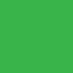 neon green - 22" x 28"