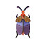 queen beetle