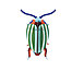 rainbow leaf beetle