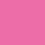 pink rose - p703